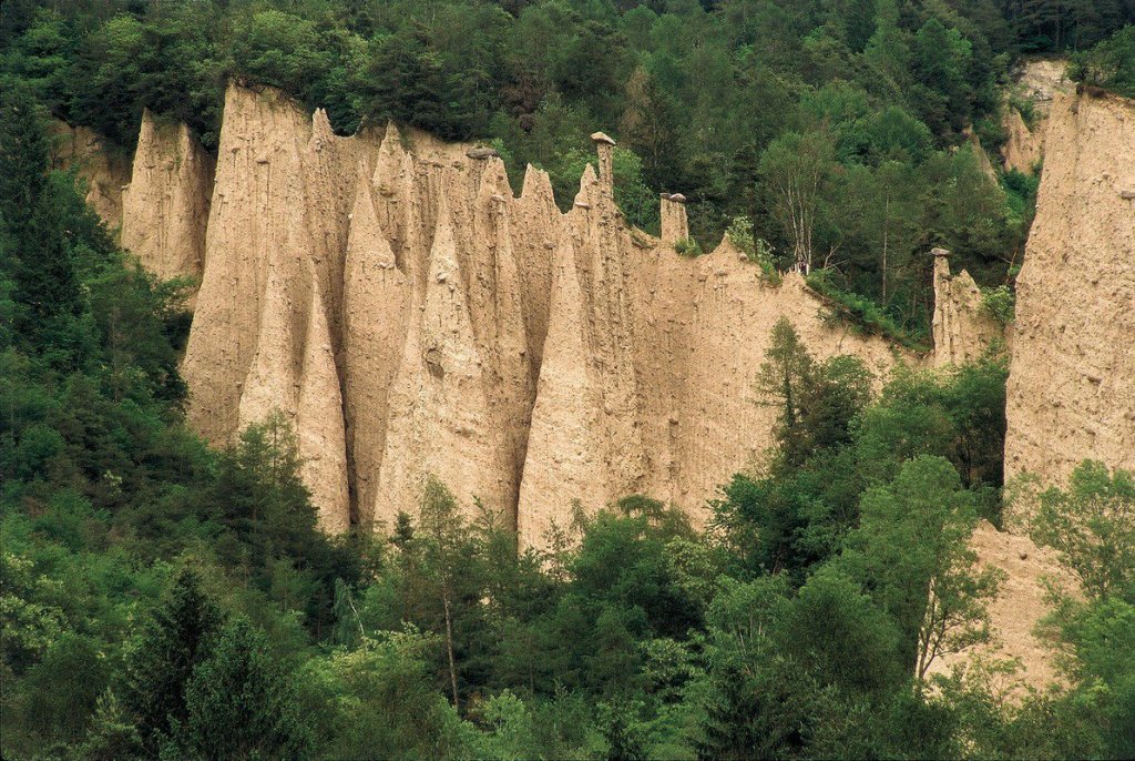 This image has an empty alt attribute; its file name is 24137.jpeg